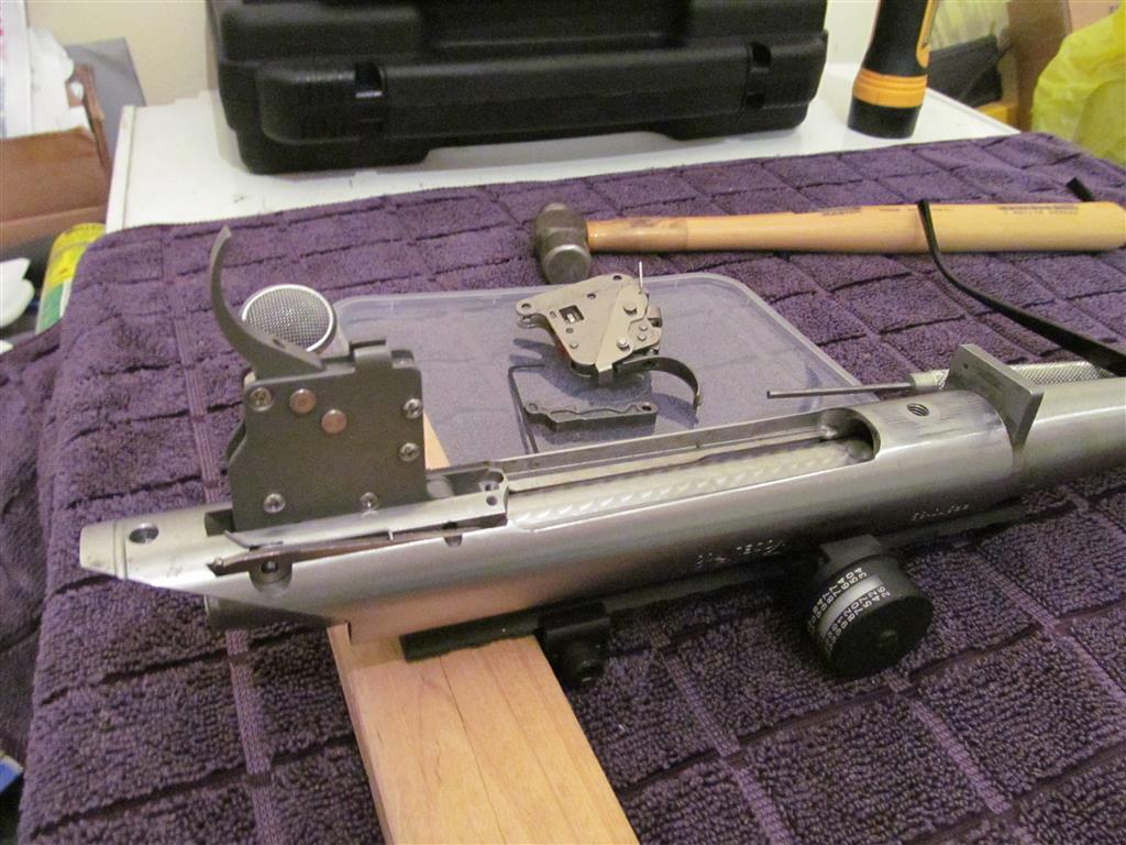 IMG_1643 (Medium).JPG