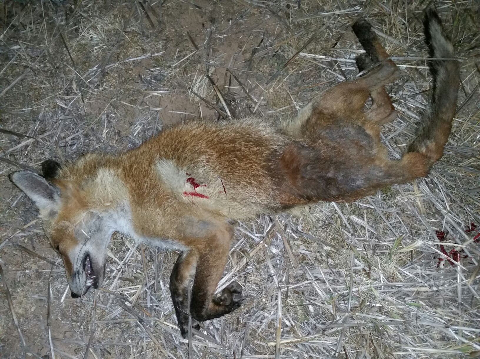 2018-10-07 00.12.05.jpg