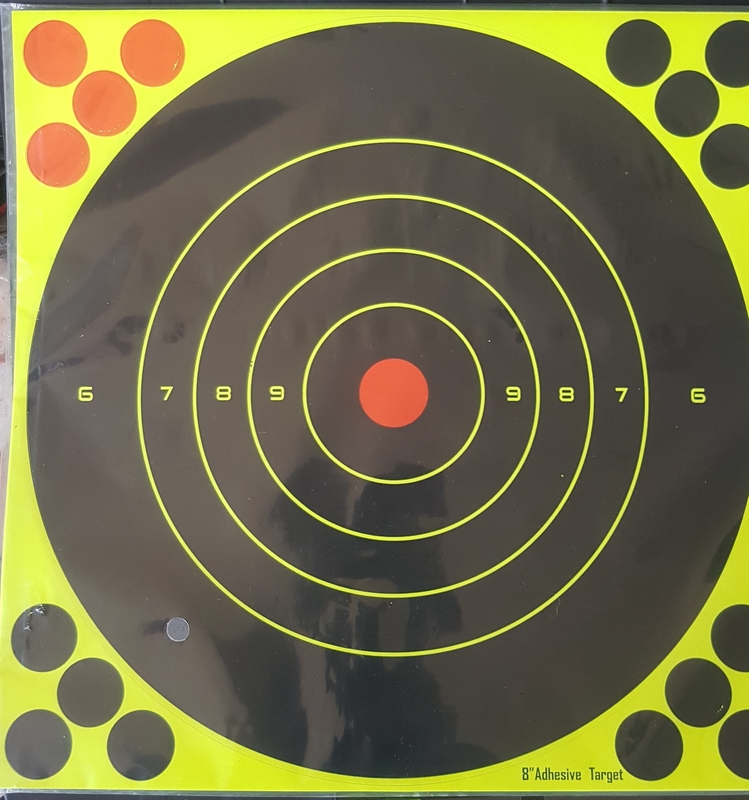 8 inch splash target.jpg