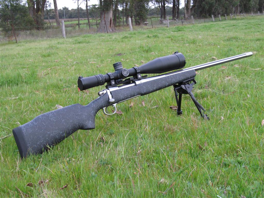 IMG_1461 (Medium).JPG