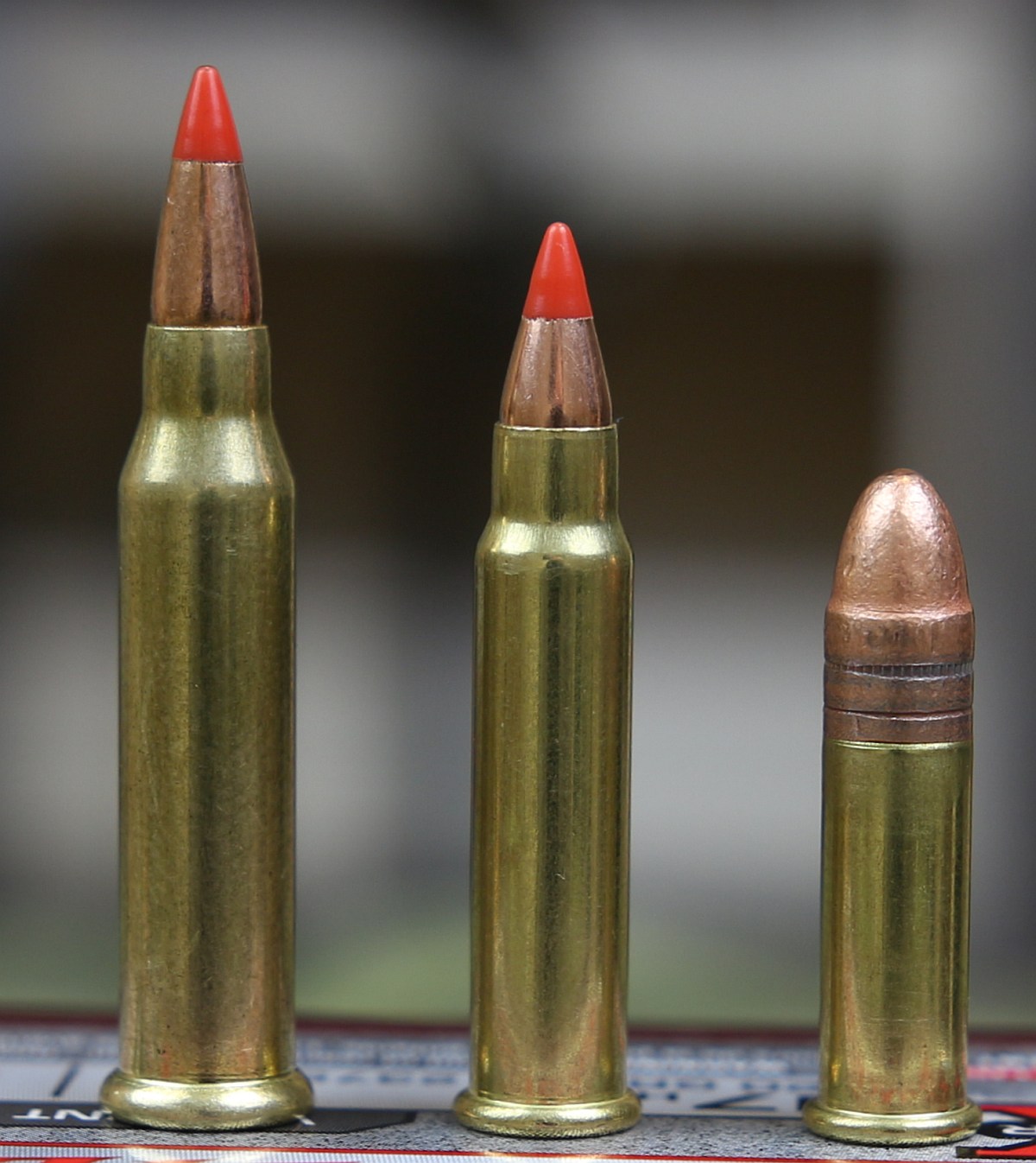 17-WSM-vs-17-HMR-vs-22LR.jpg