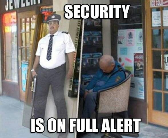 b4fb588dab3f973a448c376f1729bb4d--security-guard-security-systems.jpg