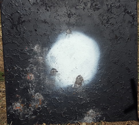 1st outing Gibbs at 300m.jpg