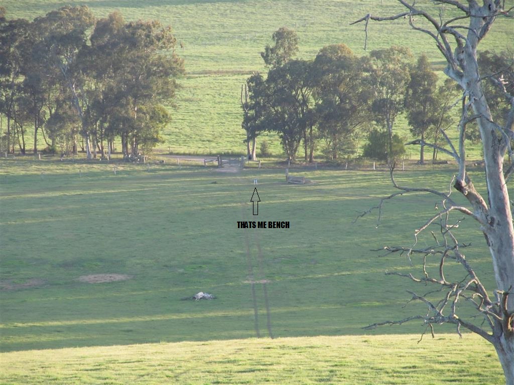 IMG_1518 (Medium).JPG