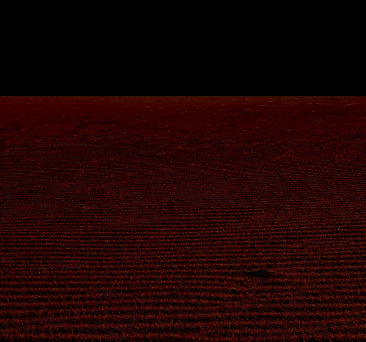 20190629_195345.jpg