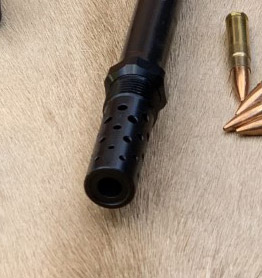 muzzle.jpg