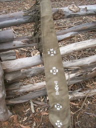 100_1721 (192x256).jpg