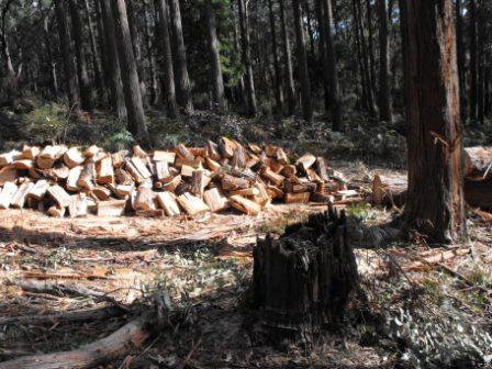 axe pictures 002.jpg