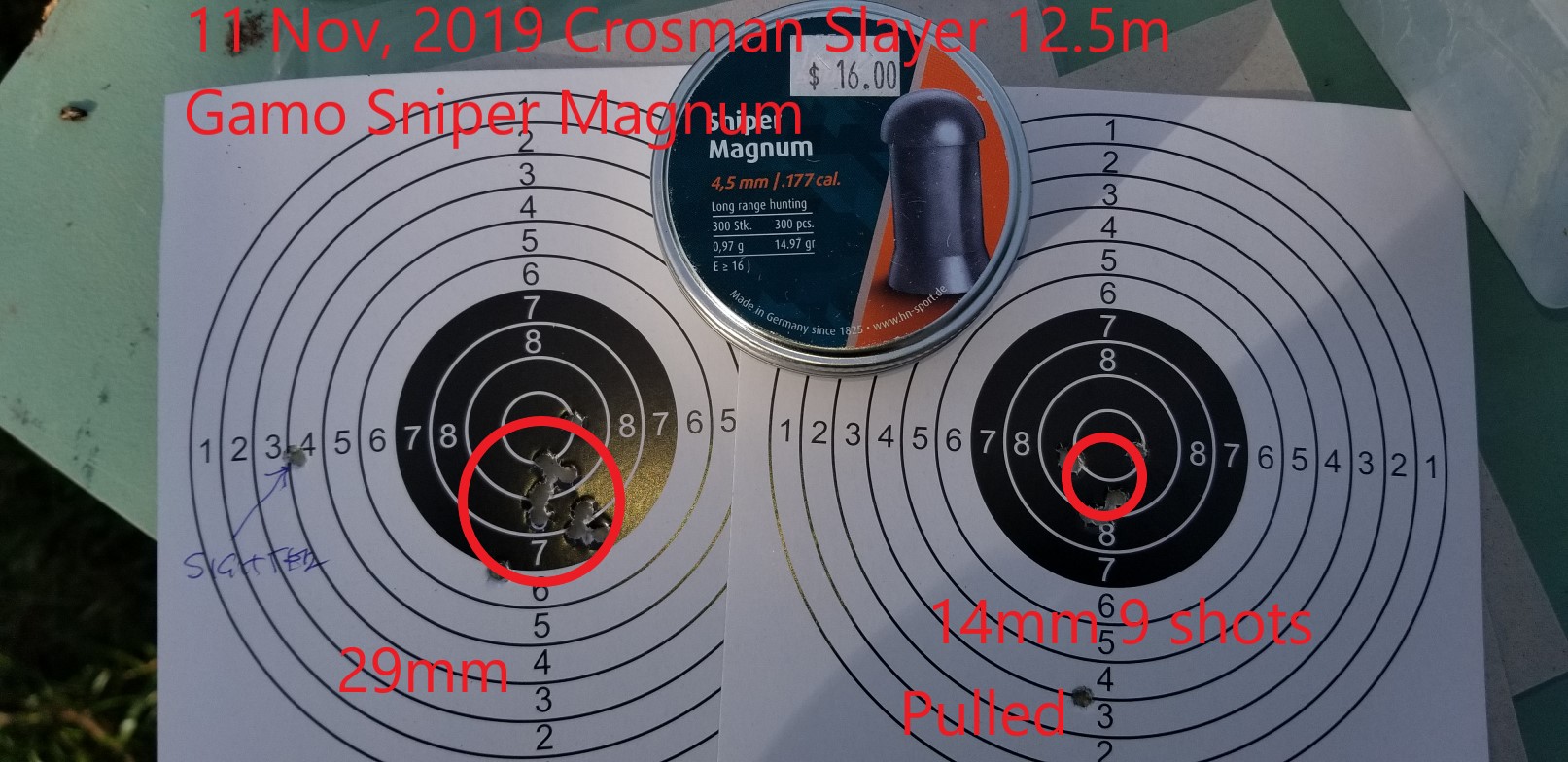 Gamo Sniper Magnum.jpg