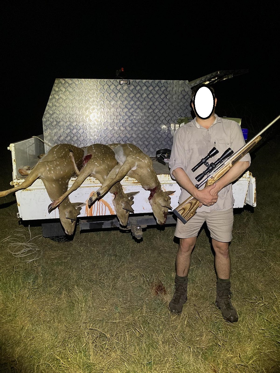 Chital 2.jpg