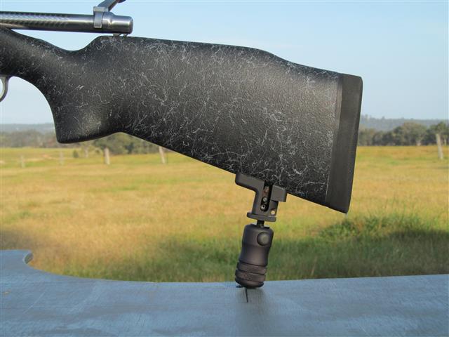 IMG_1605 (Small).JPG