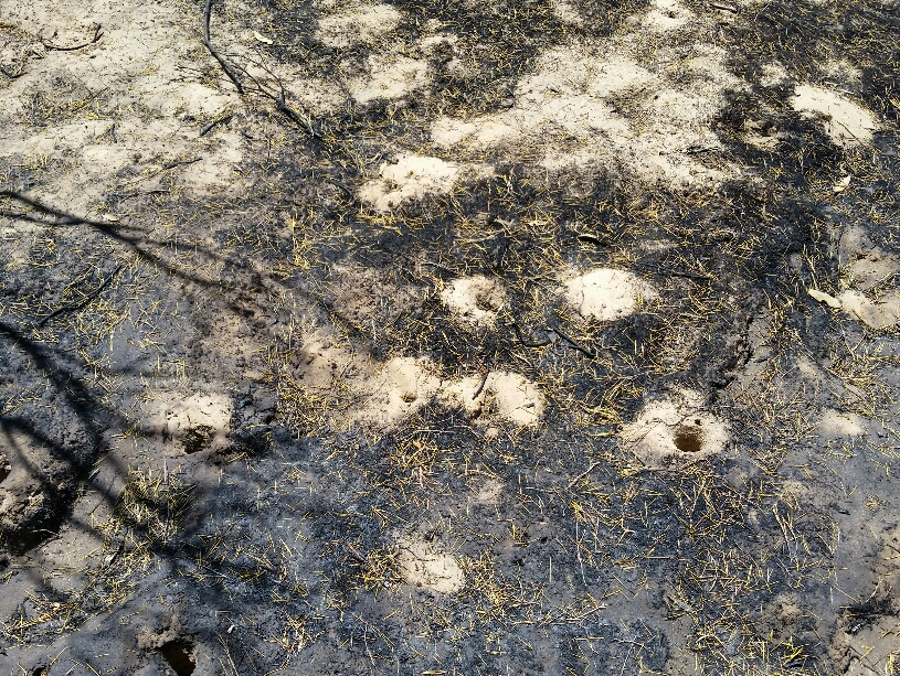 2020-01-20 21.52.42.jpg