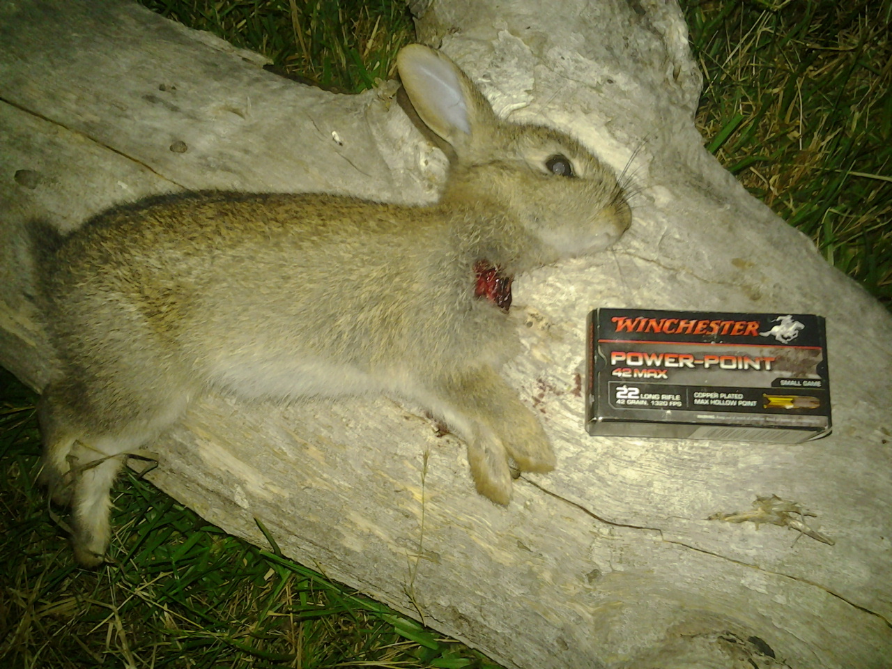 2014-12-05 20.51.03.jpg