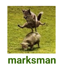 2020-02-11 16.35.01.png