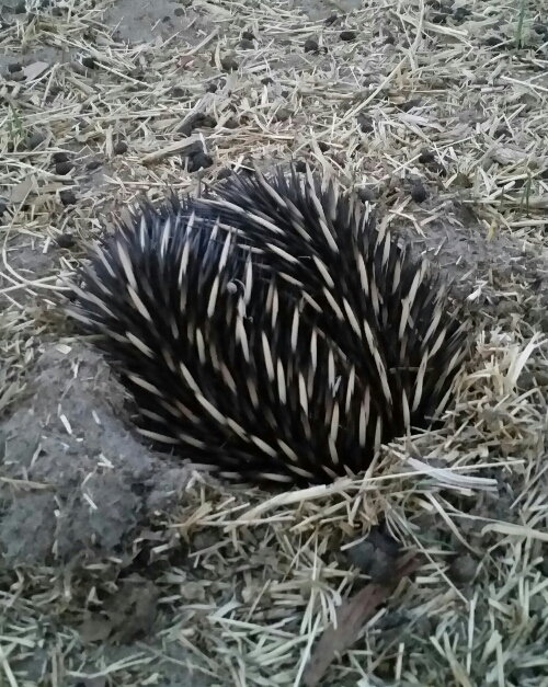 2020-02-28 22.09.49.jpg