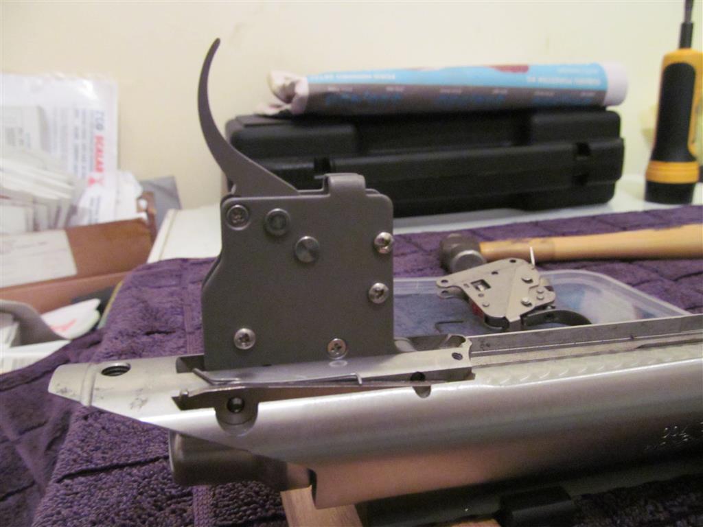 IMG_1644 (Medium).JPG