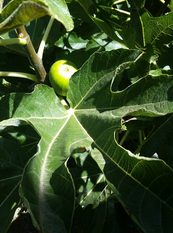 2020-03-23 14.01.37.jpg