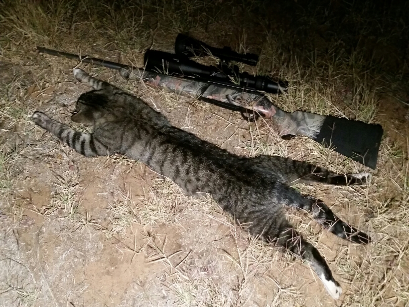 2020-04-01 02.17.21.jpg