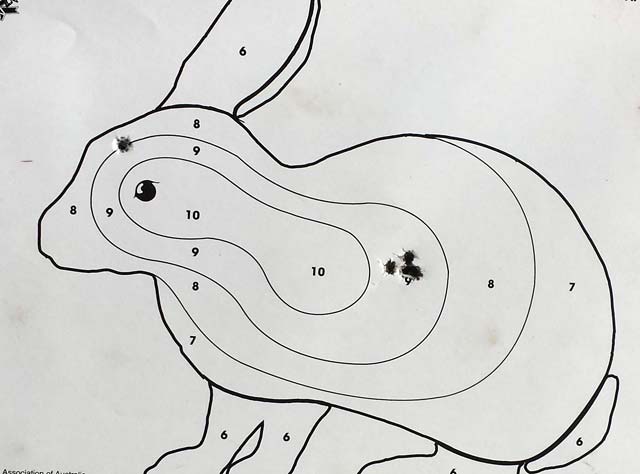 22lr-target.jpg