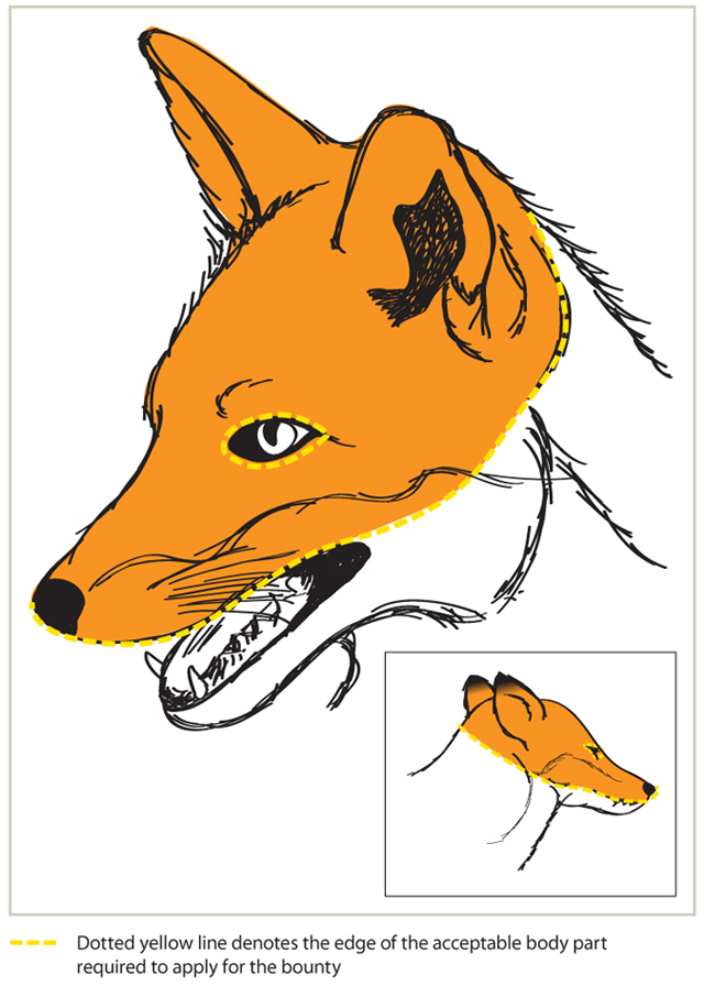 acceptable-body-parts_fox_v2_640.jpg