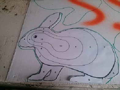 rabbit reactive target 002.jpg