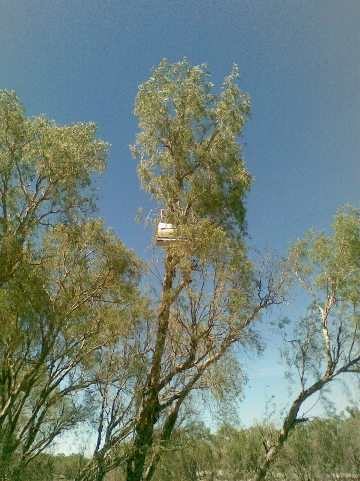 21032009.jpg