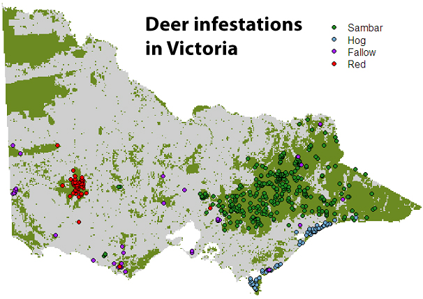 map-vic-deer-infest-600px - Copy.jpg
