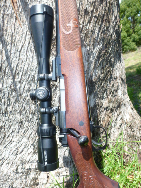 new rifle 2.JPG