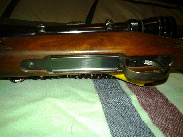 Tikka M55 bottom.jpg