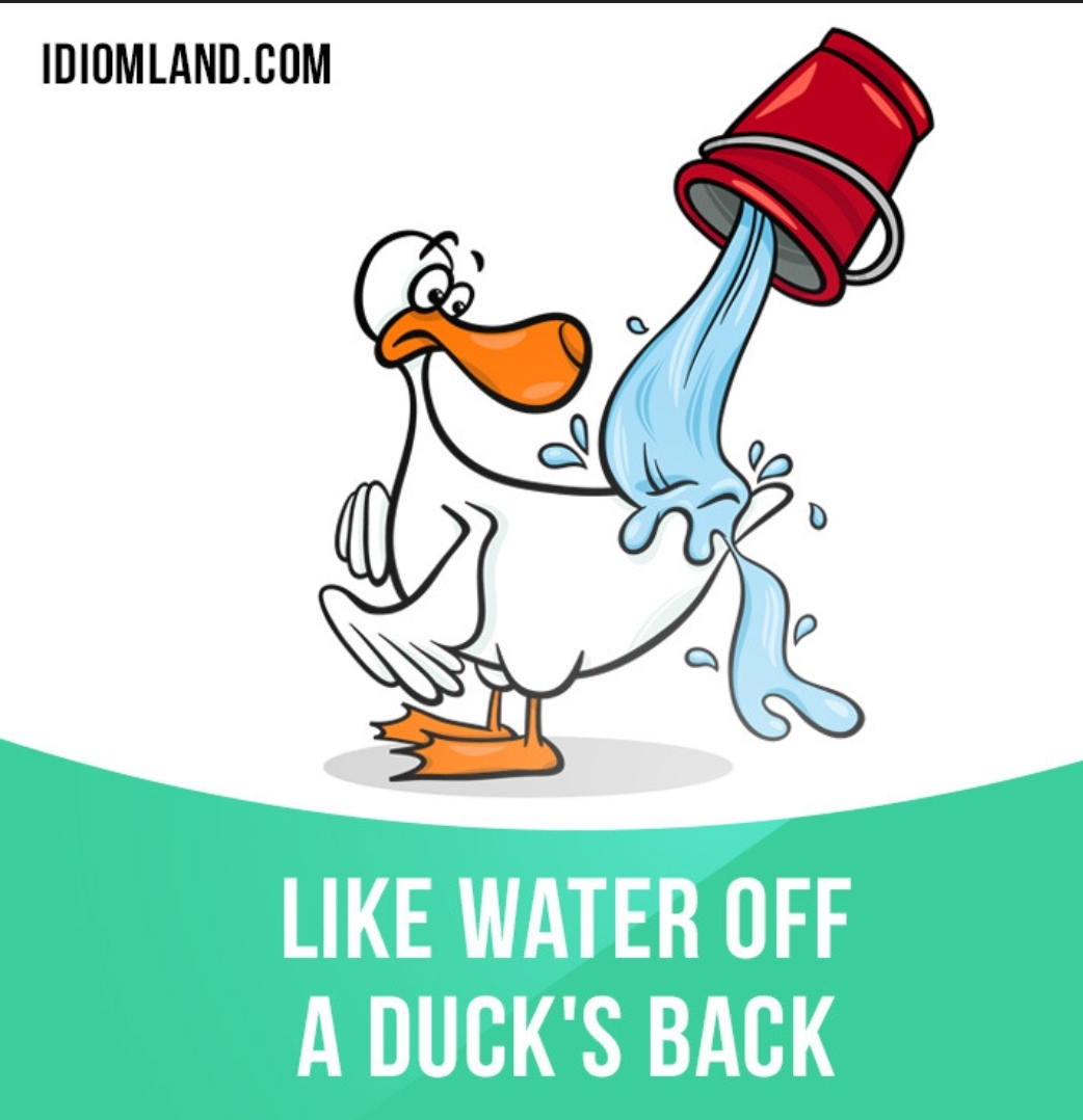 Screenshot_20220818-195452_DuckDuckGo.jpg