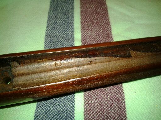 Tikka M55 stripped inside stock.jpg