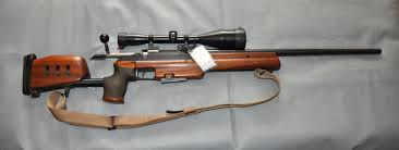 Tikka M65A 308.png