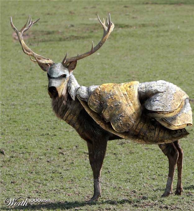 deer-armor.jpg