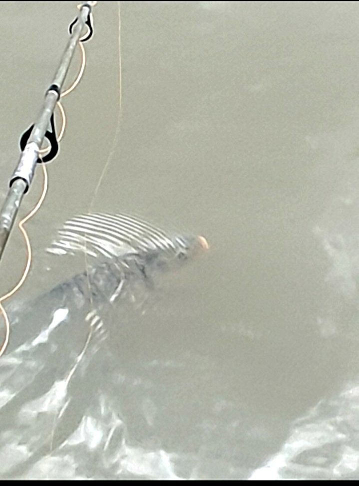 Screenshot_20221112-110745_Gallery.jpg