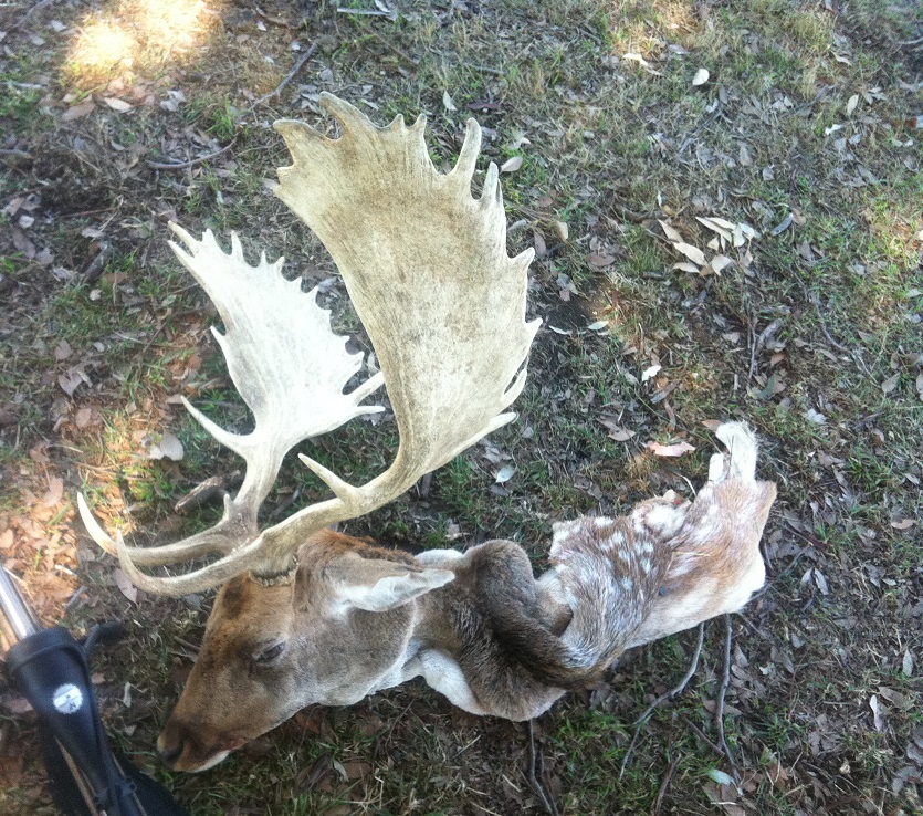 There you are old mate.jpg