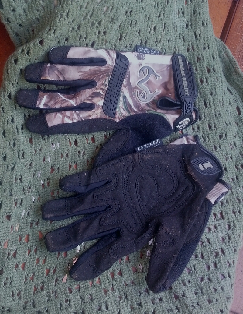 gloves.1.jpg