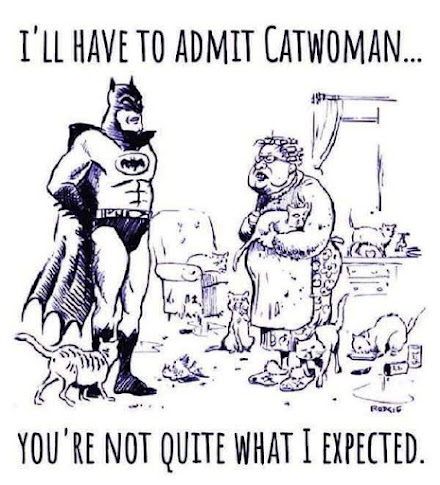 CATWOMAN.jpeg