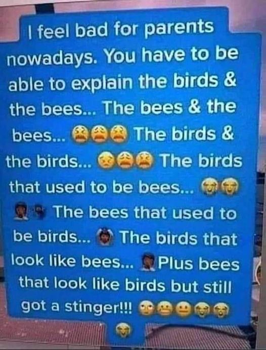 Birds & Bees.jpeg