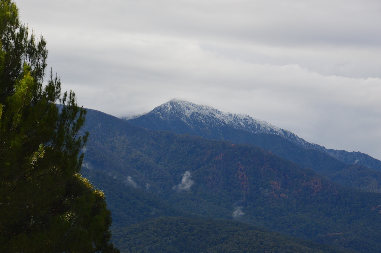 DSC_0344.JPG
