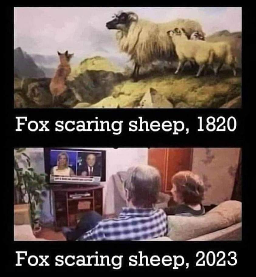 Fox scaring sheep.jpg