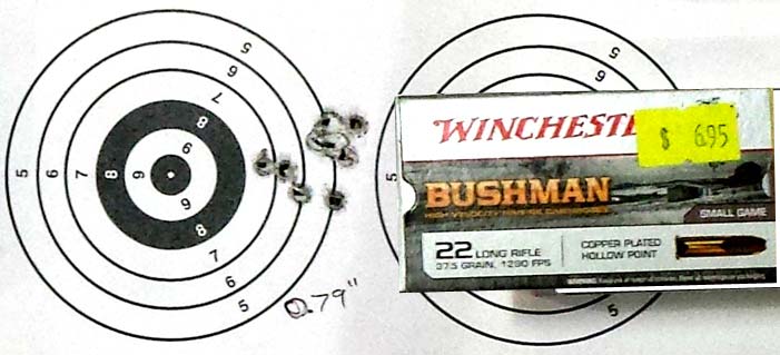 winchester-bushman-22lr.jpg