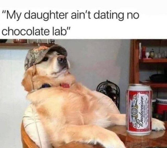 choco-lab-ww-jpeg.jpg