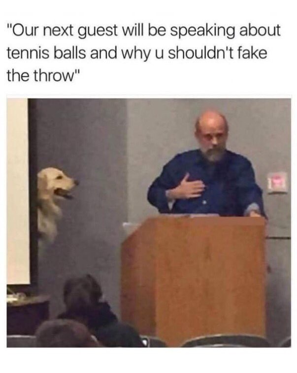 tenis-ball-meme.jpg