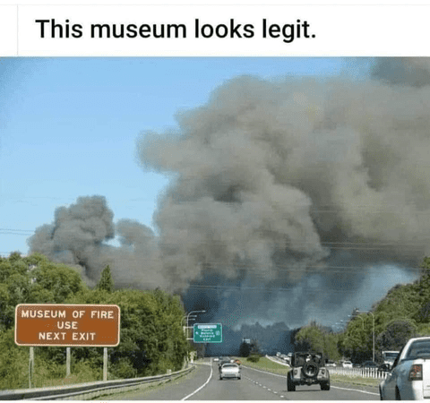 1000022401_optimized.png