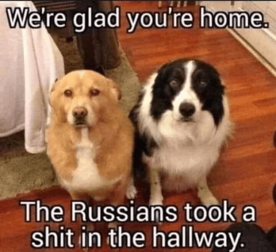 1000022798_optimized.png