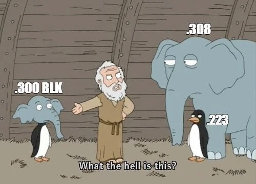 499.jpeg