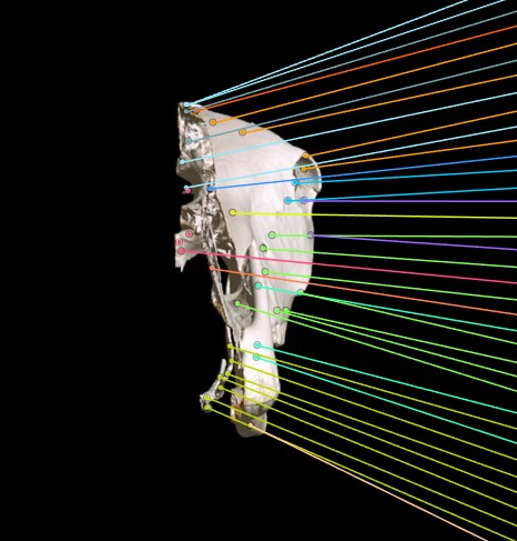 Screenshot 2024-10-24 103927.jpg