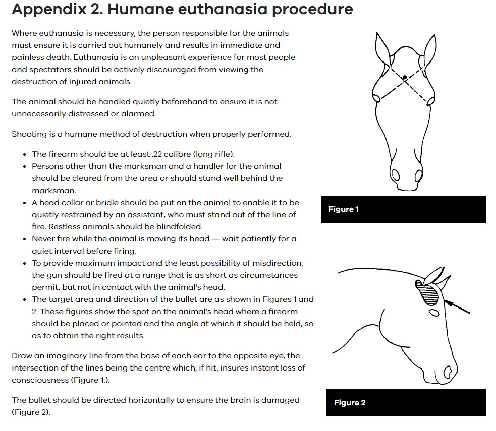 Screenshot 2024-10-24 105340.jpg