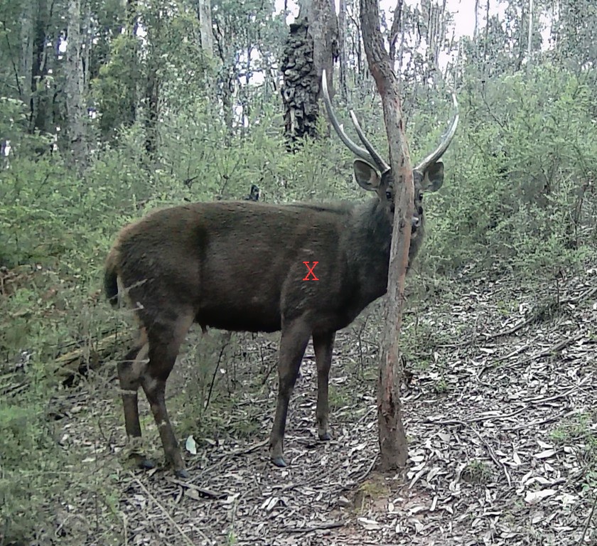 DSCF0459.JPG