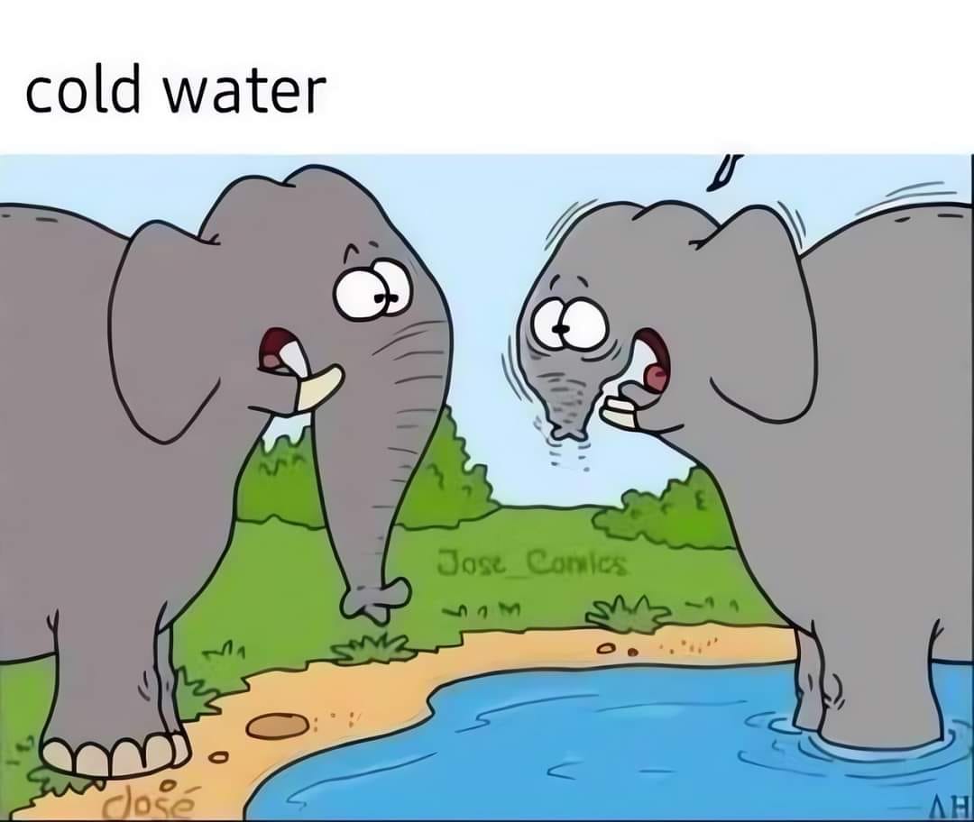466971935_122141396666339195_5869838521638173573_n.jpg